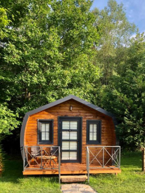 Remarkable Hobbit House Surrounded by Nature in Karamursel, Kocaeli